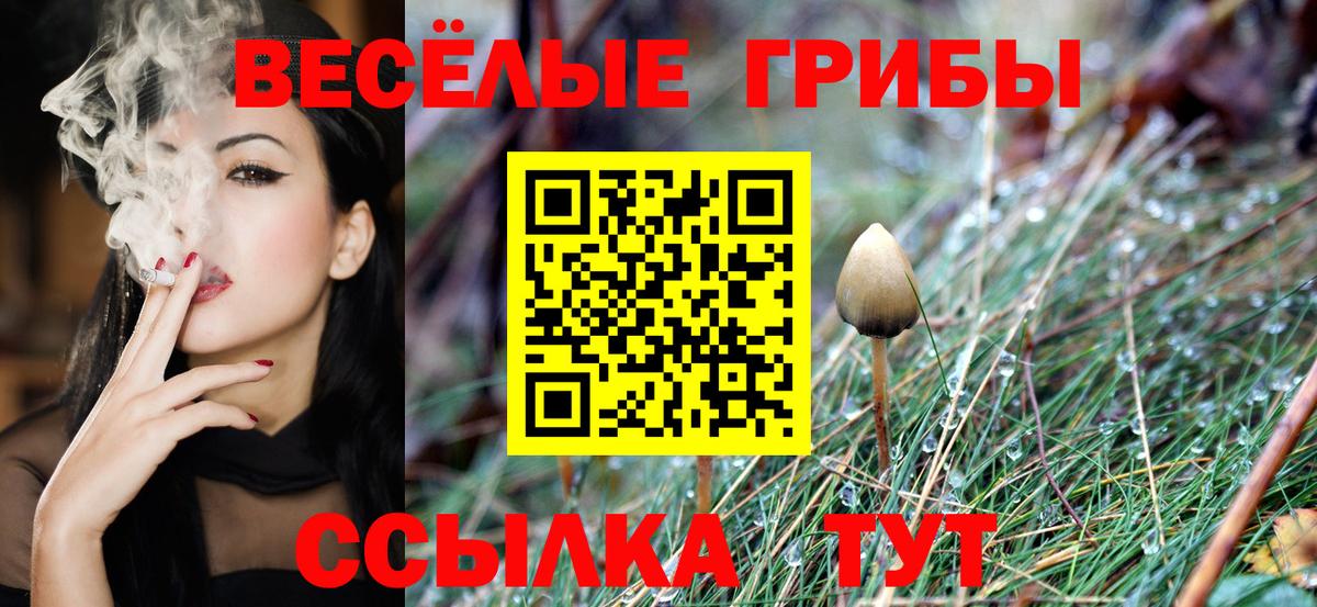 Каменск-Уральский  Псилоцибиновые грибы Magic Shrooms  Вход с VPN  Псилоцибиновые грибы мицелий 