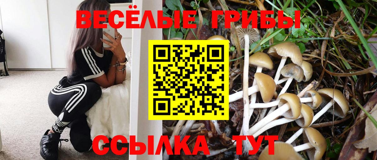 Галлюциногенные грибы Magic Shrooms Каменск-Уральский